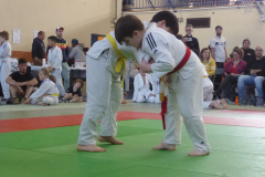 Judo-2025-Open-136
