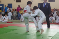 Judo-2025-Open-36