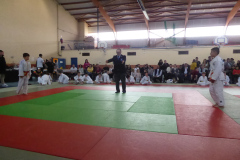 Judo-2025-Open-41