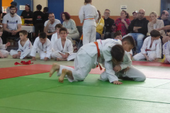 Judo-2025-Open-56