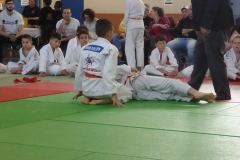 Judo-2025-Open-57