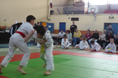Judo-2025-Open-60
