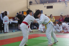 Judo-2025-Open-61