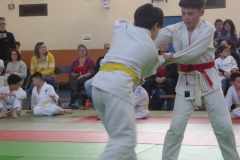 Judo-2025-Open-67