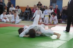Judo-2025-Open-79