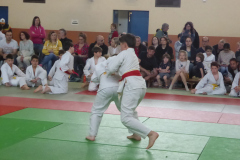 Judo-2025-Open-8