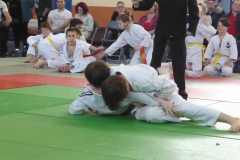 Judo-2025-Open-80