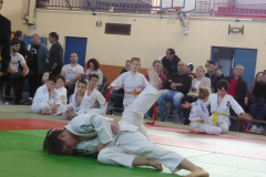 Judo-2025-Open-81