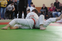Judo-2025-Open-84