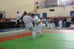 Judo-2025-Open-87