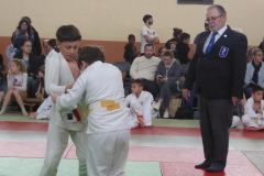 Judo-2025-Open-9