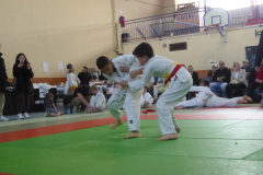 Judo-2025-Open-97