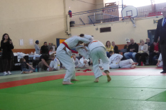 Judo-2025-Open-98