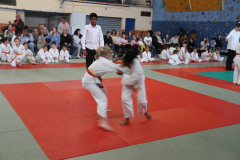 Judo-Open-de-Pamiers-2025-119