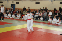 Judo-Open-de-Pamiers-2025-121