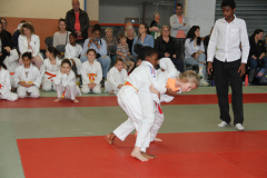 Judo-Open-de-Pamiers-2025-123