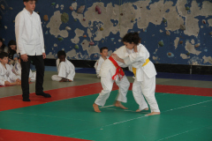 Judo-Open-de-Pamiers-2025-124