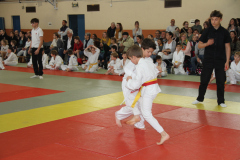 Judo-Open-de-Pamiers-2025-126