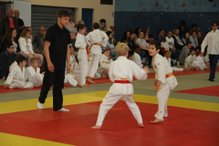 Judo-Open-de-Pamiers-2025-129