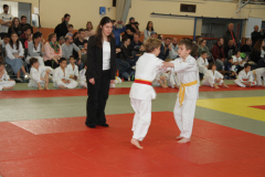 Judo-Open-de-Pamiers-2025-130