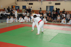 Judo-Open-de-Pamiers-2025-133