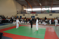 Judo-Open-de-Pamiers-2025-136