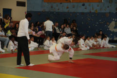 Judo-Open-de-Pamiers-2025-137