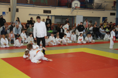 Judo-Open-de-Pamiers-2025-138