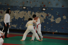 Judo-Open-de-Pamiers-2025-139