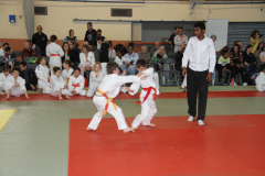 Judo-Open-de-Pamiers-2025-140
