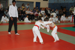 Judo-Open-de-Pamiers-2025-141