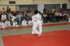 Judo-Open-de-Pamiers-2025-146