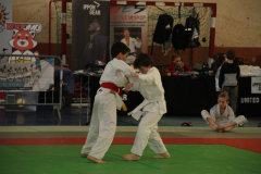 Judo-Open-de-Pamiers-2025-147