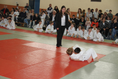 Judo-Open-de-Pamiers-2025-148
