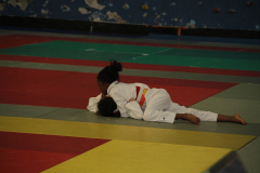Judo-Open-de-Pamiers-2025-149