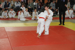 Judo-Open-de-Pamiers-2025-152