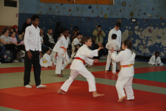 Judo-Open-de-Pamiers-2025-153