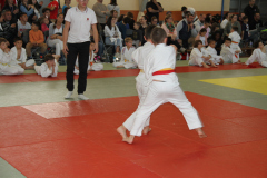 Judo-Open-de-Pamiers-2025-159