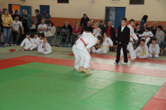 Judo-Open-de-Pamiers-2025-166