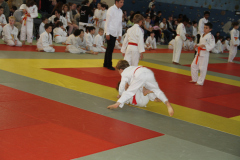 Judo-Open-de-Pamiers-2025-170