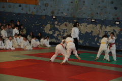Judo-Open-de-Pamiers-2025-173