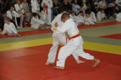 Judo-Open-de-Pamiers-2025-174
