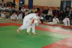 Judo-Open-de-Pamiers-2025-175
