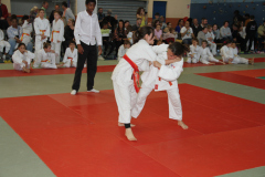 Judo-Open-de-Pamiers-2025-176