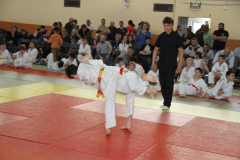 Judo-Open-de-Pamiers-2025-181