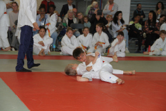 Judo-Open-de-Pamiers-2025-182