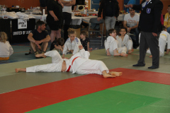 Judo-Open-de-Pamiers-2025-183