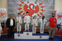 Judo-Open-de-Pamiers-2025-199