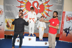 Judo-Open-de-Pamiers-2025-217