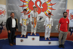 Judo-Open-de-Pamiers-2025-222